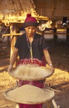 THAILAND, Chiang Mai, Sgaw Karen woman sifting rice with a large bamboo tray