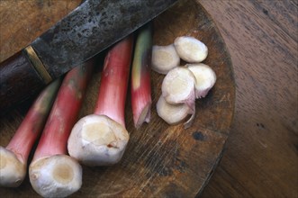 THAILAND, General, Galangal a golf club shaped ginger with sliced ends