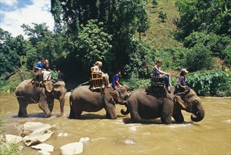 THAILAND, Chiang Mai Province, Western tourists riding elephants in the Mae Taeng River