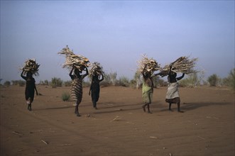 20064038 SUDAN  Work Women in desert area carrying bundles of firewood on their heads.