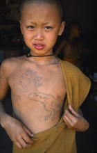 THAILAND, Wat Phra Acha Tong, Portrait of young novice Buddhist monk from The Golden Horse Forest
