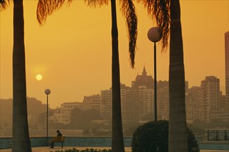 CHINA, Macau, City skyline at sunset with trunks of palm trees in foreground framing single figure