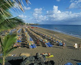 SPAIN, Canary Islands, Lanzarote, Puerto del Carmen.  Sandy beach with lines of blue sun loungers