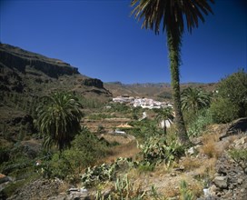 SPAIN, Canary Islands, Gran Canaria, Fataga.  White painted mountain village and terraced fields