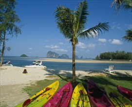 THAILAND, Trang Province, Trang Beach, Brightly coloured canoes under palm tree in foreground with