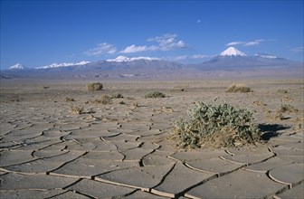 CHILE, Antofagasta, General, Cracked earth of desert surface near San Pedro de Atacama with snow