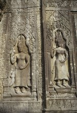 CAMBODIA, Angkor, "Ta Prohm.  Seventeenth century Buddhist temple, detail of wall carvings."