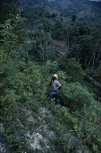 HAITI, Environment, Farmer in deforested hill region.
