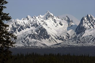 USA, Alaska, Snow covered mountain range with green treetops in the foreground