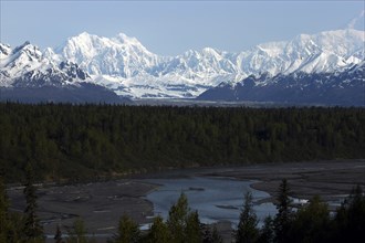 USA, Alaska, Snow covered mountain range seen over green treetops