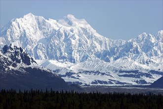 USA, Alaska, Snow covered mountain range seen over green treetops