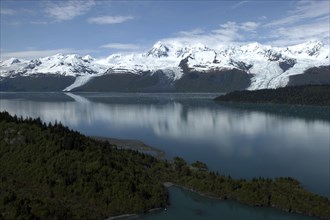 USA, Alaska, College Fjord, View over tree lined waters toward snow capped mountain peaks