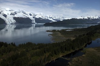 USA, Alaska, College Fjord, View over trees and calm waters of the bay toward snow capped mountain