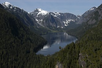USA, Alaska, Misty Fjords Nat. Monument, View over lake with surrounding trees toward snow capped