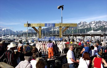 USA, Alaska, Seward, Fishermen hanging up catch in a busy port