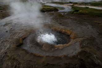 ICELAND, Volcanic Features, Smoking hot spring