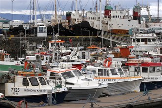 ICELAND, Reykjavik, Boats moored in the crowded port