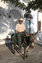 GREECE, Cyclades, Santorini, Man on a donkey in the street