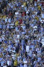 SPORT, Crowds, Brighton and Hove Albion supporters at the Madejski Stadium Reading