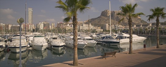 SPAIN, Valencia, Alicante, View of the port with Castillo de Santa Barbera rising behind.