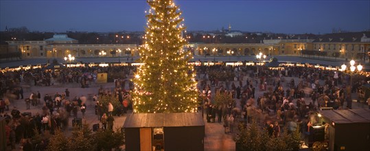 AUSTRIA, Vienna, The Schloss Schonbrunn Christmas Market with central Christmas Tree.