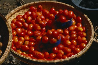 INDONESIA, Toraja, Market tomatoes in a basket.