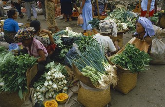 INDONESIA, Sulawesi, Markets, Market sellers sitting around baskets of green vegetables.