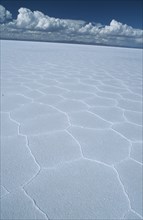 BOLIVIA, Altiplano, Potosi, Salar de Uyuni. Close up of salt pan patterns