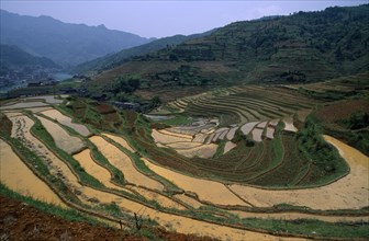 CHINA, Guangxi Province, Landscape, Terraced rice paddies near Longsheng in province known for its