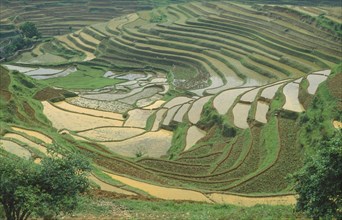CHINA, Guangxi Province, Terraced rice paddies near Longsheng in province known for its minority