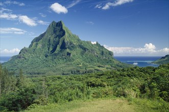 PACIFIC ISLANDS, French Polynesia, Moorea, Landscape with dense vegetation and central jagged peak
