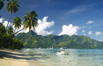PACIFIC ISLANDS, French Polynesia, Moorea, Yachts and motor boat moored offshore of sandy beach