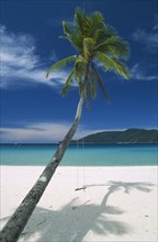 MALAYSIA, Terengganu, Perhentian Kecil, Palm tree with swing on Long Beach on the smaller of the