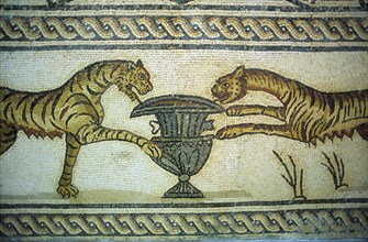 LIBYA, Tolmeita, Mosaic depicting tigers and urn exhibited in the museum