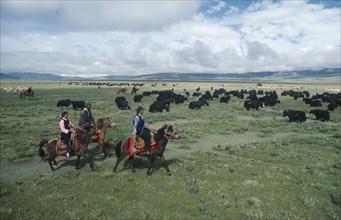 TIBET, Farming, Nomadic horsemen and women herding yaks on the high grasslands.