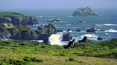 USA, California, Big Sur National Park, View of the coastline that runs alongside Highway 1