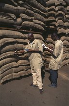 Ivory Coast, San Pedro Port, Men testing sacks of Cocoa for humidity.