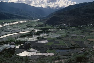 BHUTAN, Paro Valley, Paro, Paddy fields in agricultural landscape of the Paro Valley