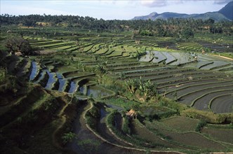 INDONESIA, Bali, Tirtagganga, Landscape and rice terraces.