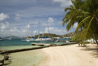 WEST INDIES, St Vincent & The Grenadines, Union Island, Clifton Harbour moorings and beach outside