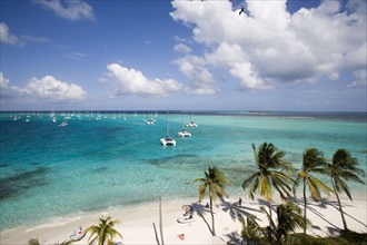 WEST INDIES, St Vincent & The Grenadines, Tobago Cays, Tourists and moored yachts off the beach at