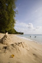 WEST INDIES, Barbados, St Peter, Gibbes Bay beach in the late afternoon with sandcastles at the