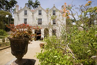 WEST INDIES, Barbados, St Peter, The Jacobean plantation house and garden of St Nicholas Abbey