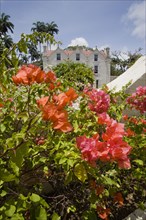 WEST INDIES, Barbados, St Peter, The Jacobean plantation house and garden of St Nicholas Abbey