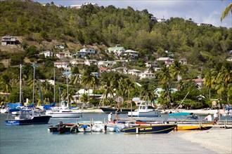 WEST INDIES, St Vincent & The Grenadines, Bequia, Jetty with moored yachts in Admiralty Bay with