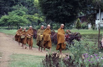 THAILAND, Religion, Buddhist, Young Buddhist monks on morning round to collect food alms near Fang.