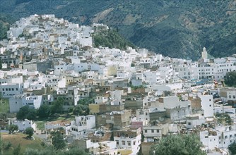 MOROCCO, Moulay Idriss, White painted houses across rocky hillside.