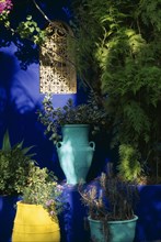 MOROCCO, Marrakesh, The Jardin Majorelle owned by Yves St Laurent.  Detail of planting against