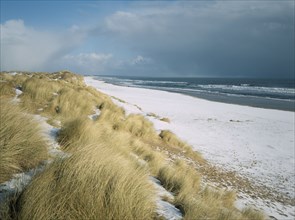 SCOTLAND, Aberdeen, Balmedie Beach, View north east along snow covered beach with tussocks of grass