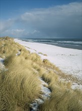 SCOTLAND, Aberdeen, Balmedie Beach, View north east along snow covered beach with tussocks of grass
